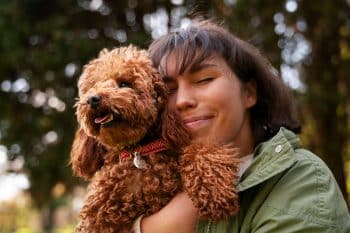 15 Affectionate Dog Breeds That Fit Your Soft Side