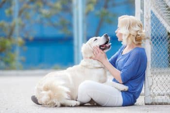 15 Ultimate Dog Breeds That Have It All