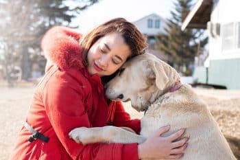 11 Ways Dogs Apologize for Being Naughty