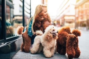 11 Sociable Dog Breeds That Welcome Everyone With A Wag