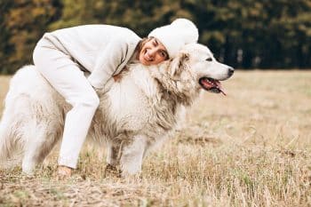 13 Dog Breeds That Comfort and Protect