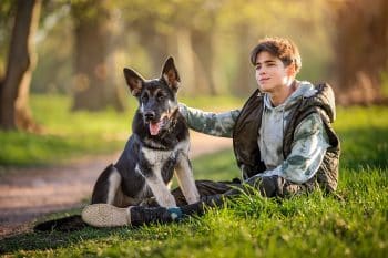 15 Brave Dog Breeds Ready To Protect You No Matter What