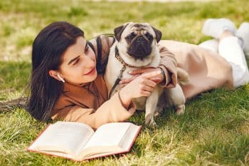 The 13 Sweetest Dog Breeds That Just Want To Be Near You