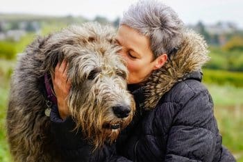 15 Noble Dog Breeds That Bond for Life