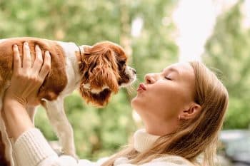 9 Weird Facts About Dog Kisses