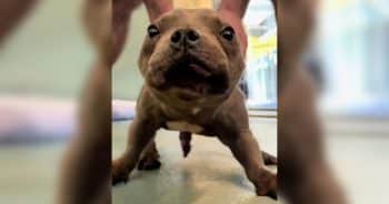 He Had Special Needs, And Found the Special Kind of Love He Deserved