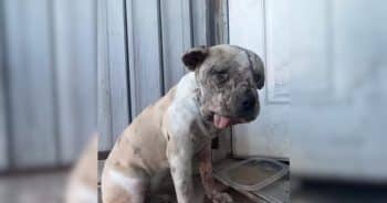 Jessie Survived the Streets, And Found a Reason to Smile Again