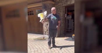 She Puts on a Hilarious Welcome Party Every Time Someone Shows Up