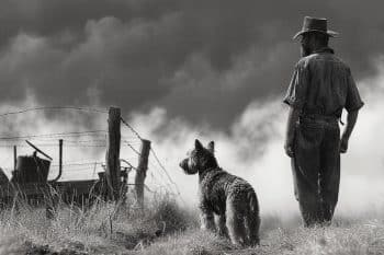 11 Dog Breeds That Lived Side-by-Side With Farmers During The Dust Bowl