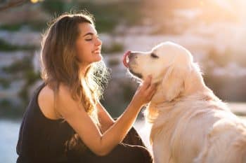 9 Devoted Dog Breeds That Form the Deepest Bonds