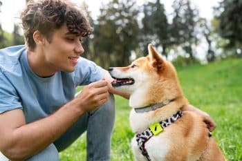 11 Amazing Facts About How Dogs Think