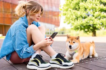 11 Stately Dog Breeds That Fit Busy Lifestyles