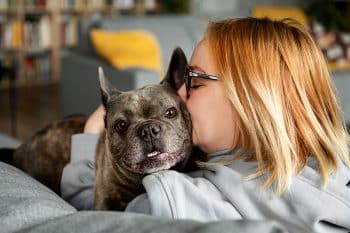 13 Sweet Ways Your Dog Tried to Comfort You