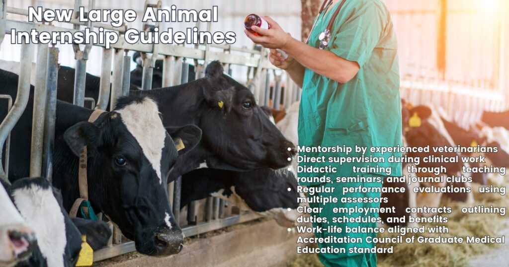 AVMA Unveils New Large Animal Internship Guidelines to Strengthen Mentorship and Professional Development