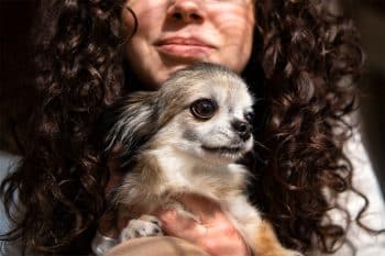 11 Devoted Dog Breeds That Won’t Let You Go