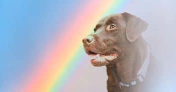 Protected: When Goodbye Hurts: GetUrns Turns Grief into Tribute