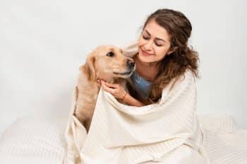 9 Snuggle Bug Dog Breeds for Cozy Days