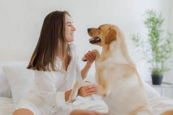 13 Loyal-Hearted Dog Breeds That Add Color to Your Life