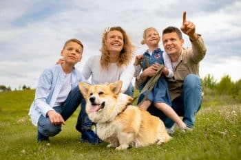 13 Spirited Dog Breeds That Are Perfect for Families