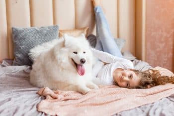 9 Dazzling Dog Breeds That Light Up the Room