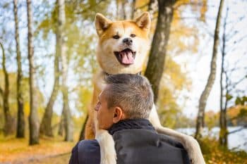 11 Loyal Dog Breeds That Stick for Life