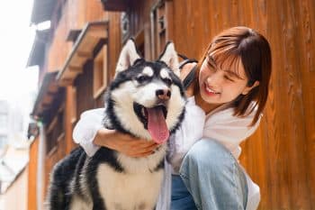 15 Wild Facts You Didn’t Know About Dogs