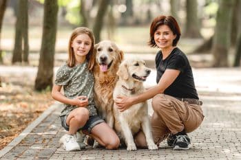 15 Harmonious Dog Breeds That Bring People Together