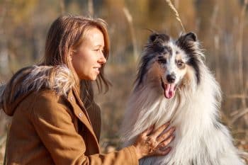 Top 15 Tender Dog Breeds That Deserve a Spot in Your Heart