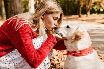 15 Loving Dog Breeds That Melt Your Heart