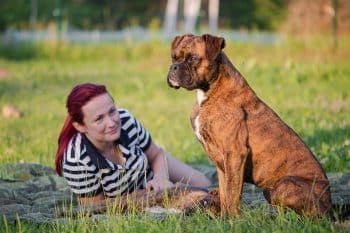 Top 9 Dog Breeds That Are All About Being Loyal