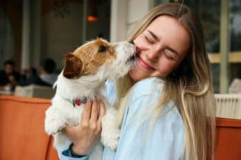15 Ways Dogs Say “I Love You” Without Words