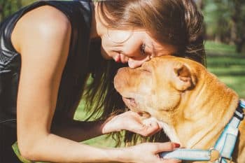 13 Brave Dog Breeds That Are Fierce but Gentle at Heart