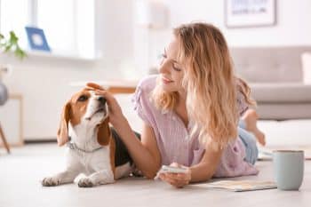 9 Fun-Loving Dog Breeds Ideal For New Dog Parents