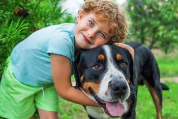 Why These 15 Gentle Dog Breeds Are Every Kid’s Perfect Companion