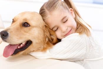 Top 11 Dog Breeds That Kids Adore