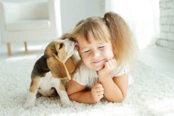 11 Gentle Dog Breeds That Kids Love