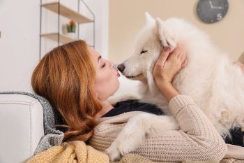 9 Most Cuddly Dog Breeds That Crave Affection
