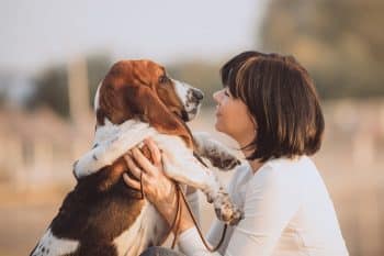 Top 11 Calm Dog Breeds To Relax With