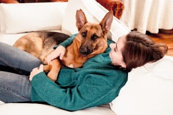 15 Trusty Dog Breeds That Always Stay Close