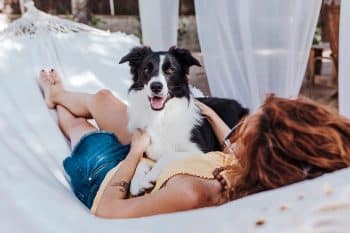 These 9 Dog Breeds Are Proof That Some Friends Never Leave