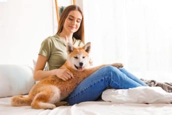 11 Watch Dog Breeds That Guard Your Heart