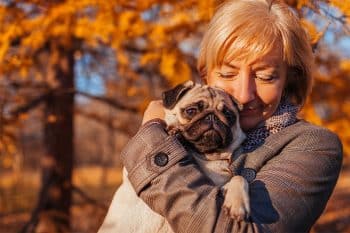 9 Affectionate Dog Breeds That Need Constant Company