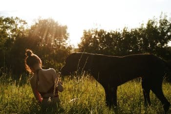 9 ‘Loving’ Dog Breeds That Heal Hearts After Loss