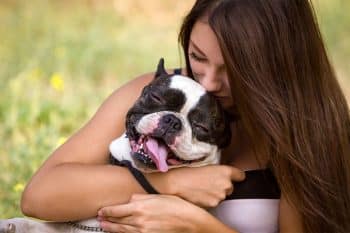 13 Affectionate Dog Breeds That Always Want Touch