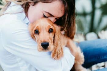 13 Affectionate Dog Breeds That Love Hard
