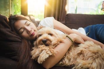 11 Snuggly Dog Breeds That Stay Close All Night