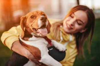 11 Easiest Dog Breeds for First-Time Pet Owners