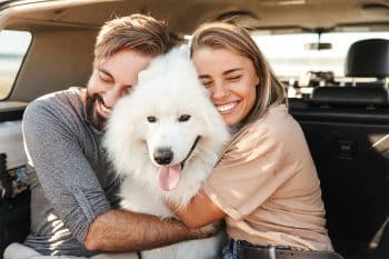 15 Friendly Dog Breeds That Embrace Strangers
