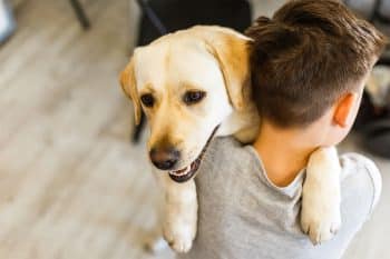 9 Top Dog Breeds for First-Time Owners