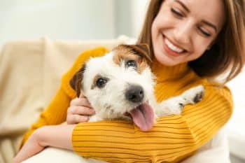 11 Dog Breeds Stuck in Puppy Mode Forever